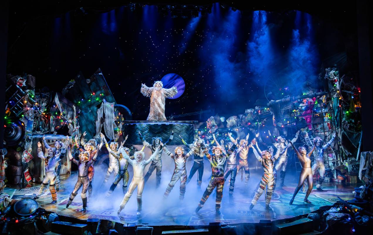The cast of Cats pose at the Theatre Royal